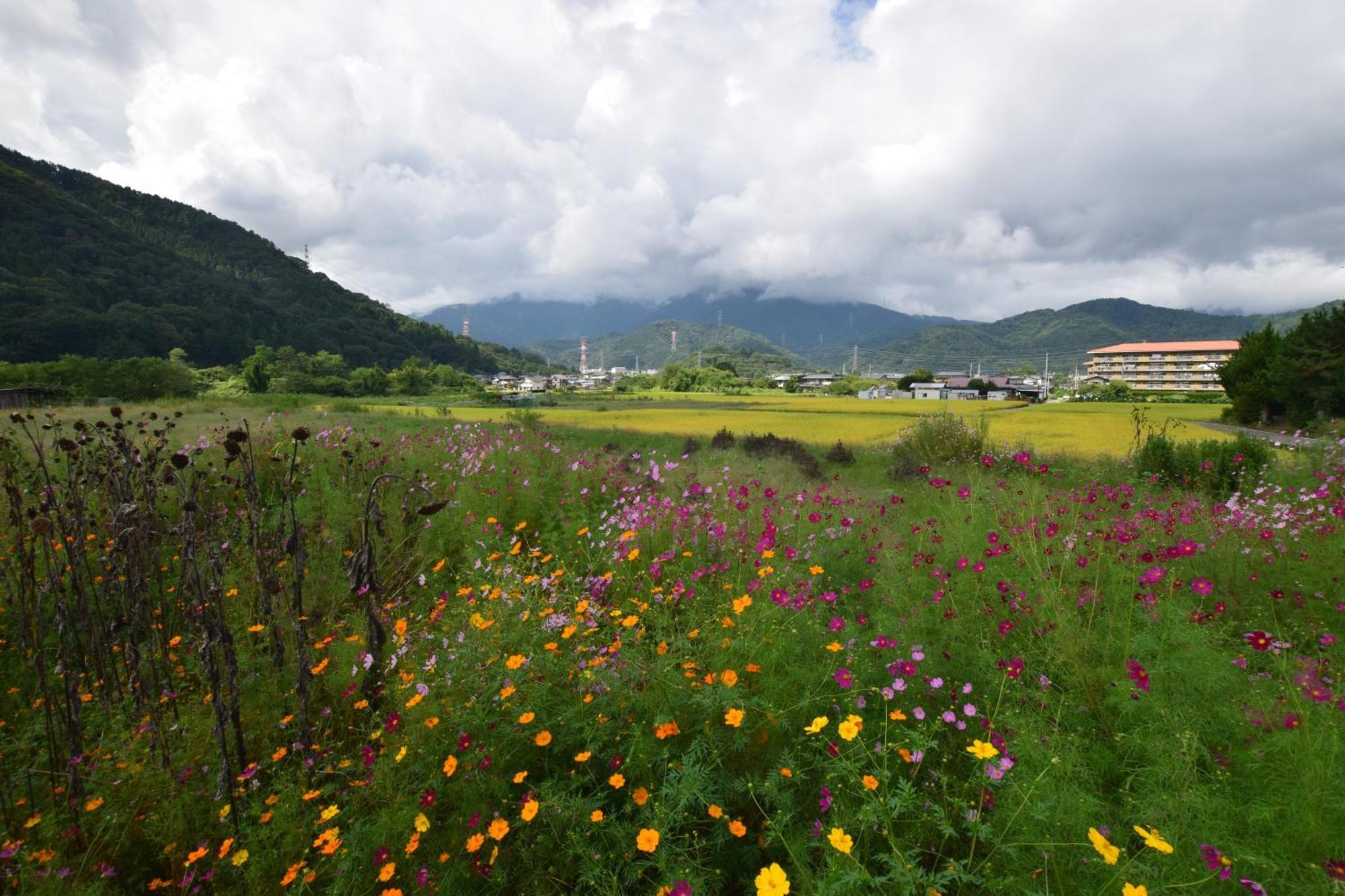 Gate Yamanashi Tsuru Villa ภายนอก รูปภาพ